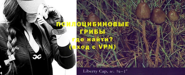 дурь Алексин