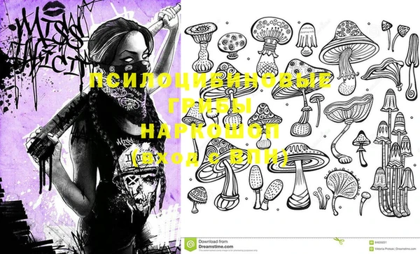 ешки Алексеевка