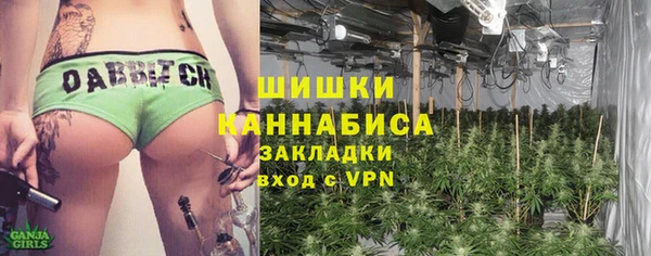 дурь Алзамай