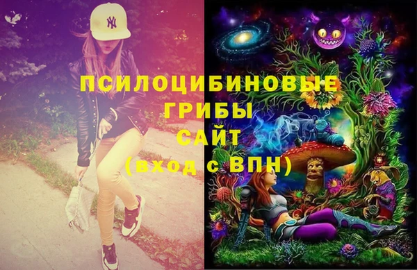 дурь Алексин