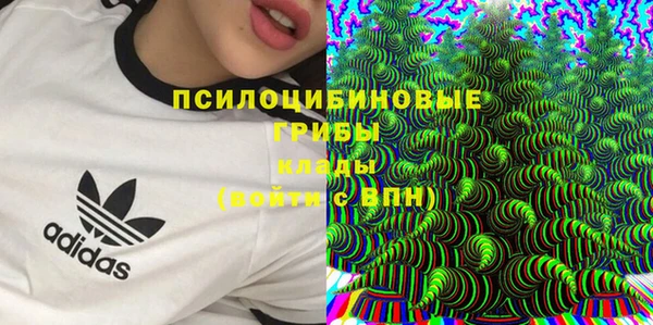 дурь Алзамай