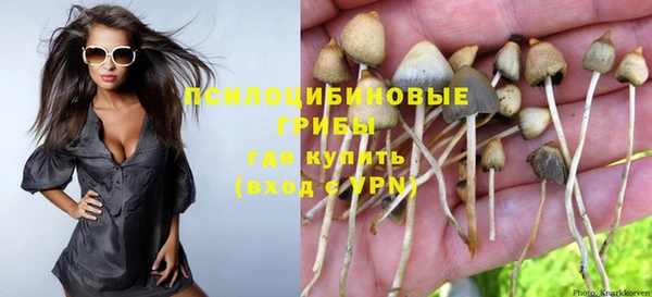 ешки Алексеевка