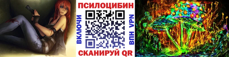 Галлюциногенные грибы Psilocybe Навашино